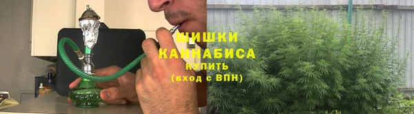 прущие грибы Вязники